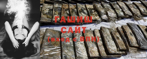 индика Медвежьегорск