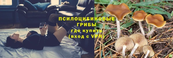 соль курить ск Михайловск