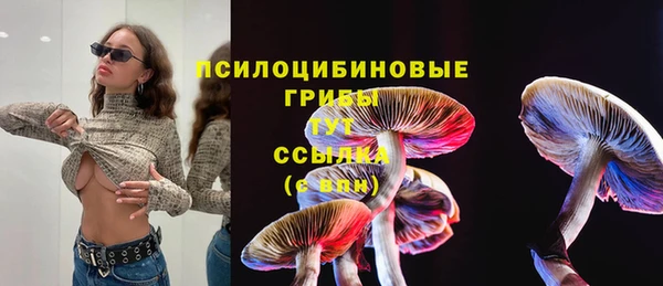 героин Михайлов